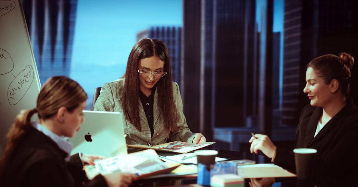 阴阳师：考试猫app详情下载教程